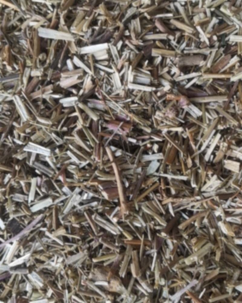 荆芥产地直供可视频看货质量保证