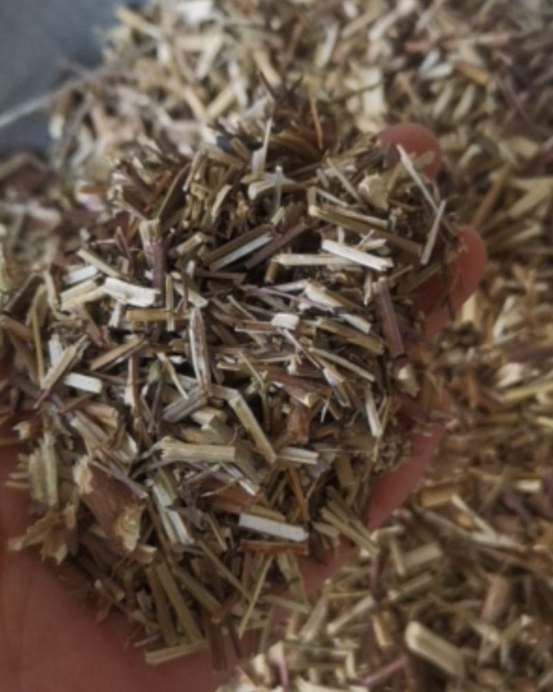 荆芥产地直供可视频看货质量保证
