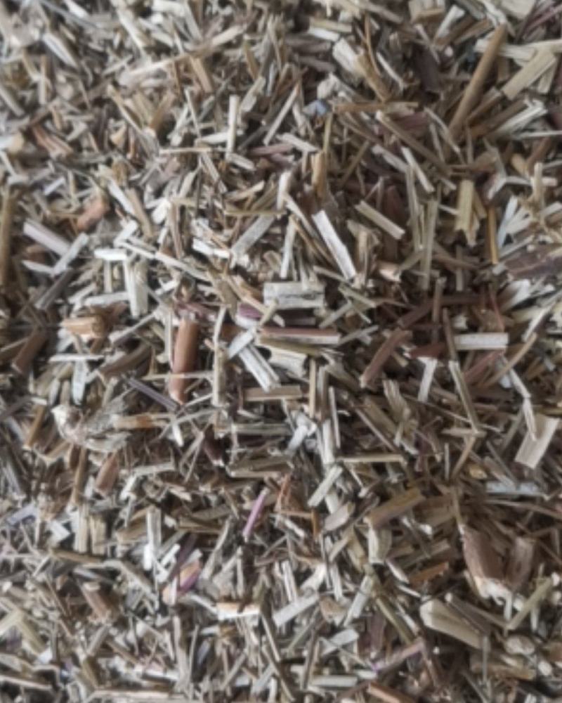 荆芥产地直供可视频看货质量保证