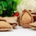 2023年纸皮小龙杏核开口，质量好，包邮