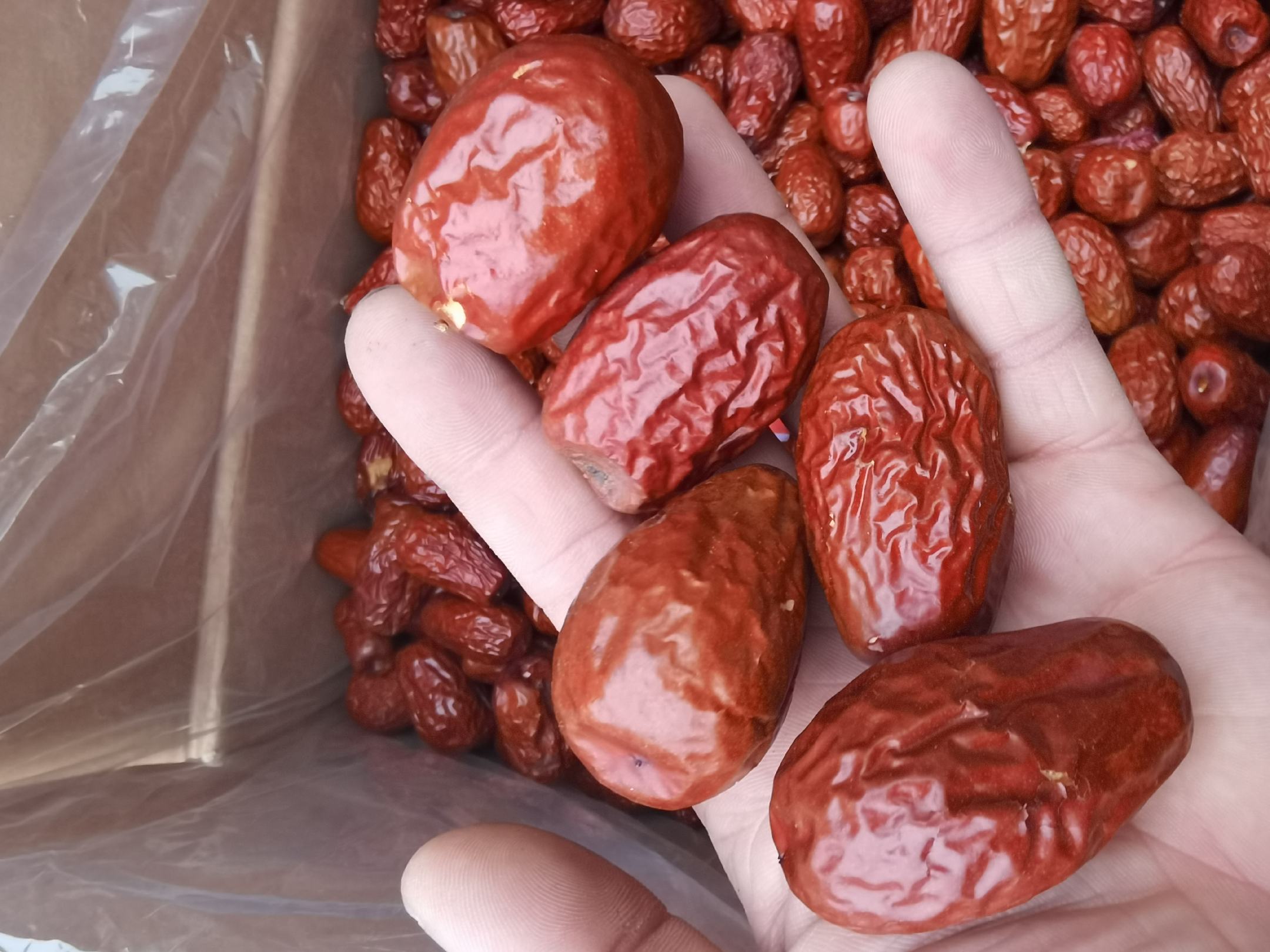 稷山板枣干果特写