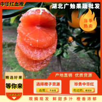 湖北秭归红橙果大皮薄口感好供应电商，市场，各大平台