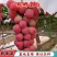 妮娜皇后葡萄苗,天然无核,新品种,草莓奶香味,基地直供