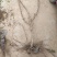 妮娜皇后葡萄苗,天然无核,新品种,草莓奶香味,基地直供