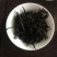 凤凰高山乌种单丛是一款有着高山也韵味，海拔1000米