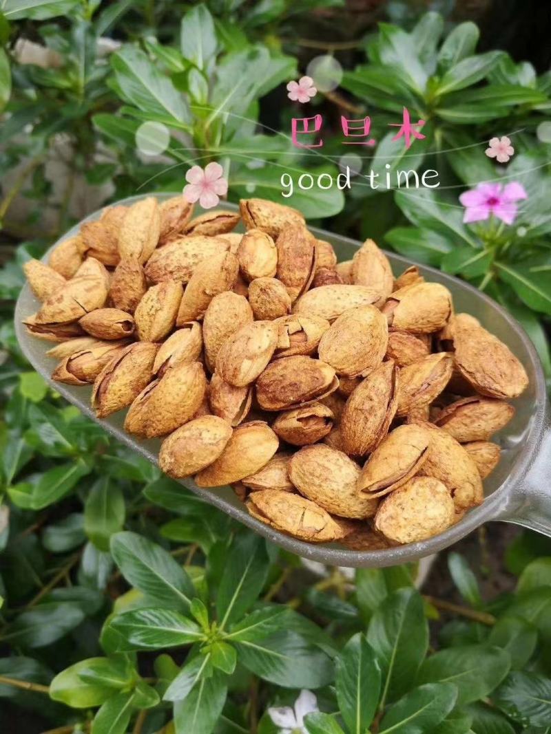 巴旦木奶油味坚果批发罐装250克厂家直销4罐包邮