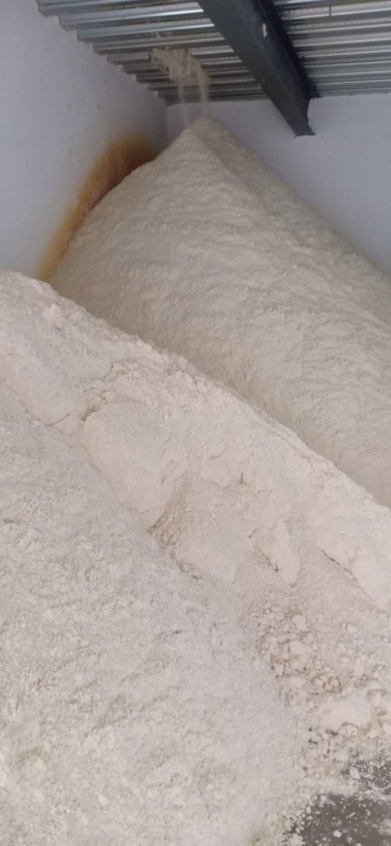 本厂每天大量生产40吨豆腐渣锅巴发酵剂