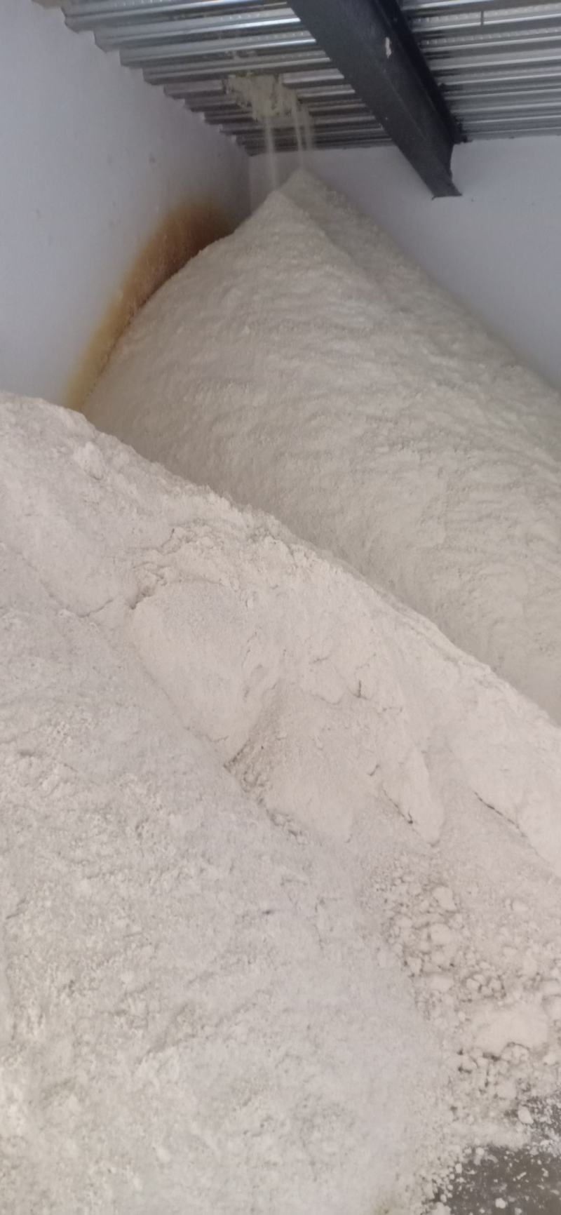 本厂每天大量生产40吨豆腐渣锅巴发酵剂
