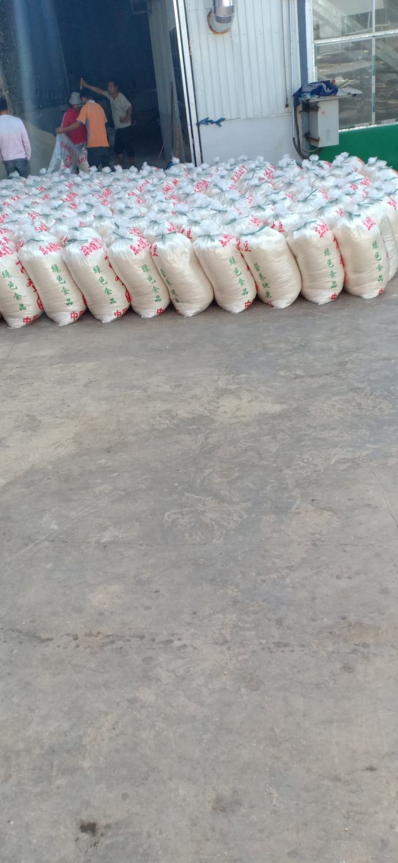 本厂每天大量生产40吨豆腐渣锅巴发酵剂
