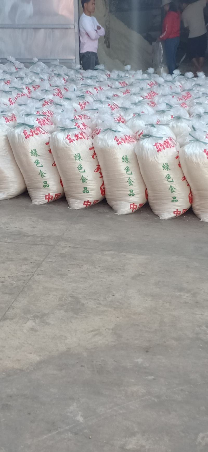 本厂每天大量生产40吨豆腐渣锅巴发酵剂