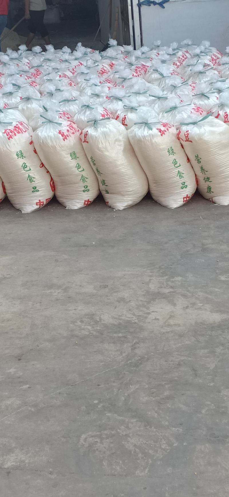 本厂每天大量生产40吨豆腐渣锅巴发酵剂