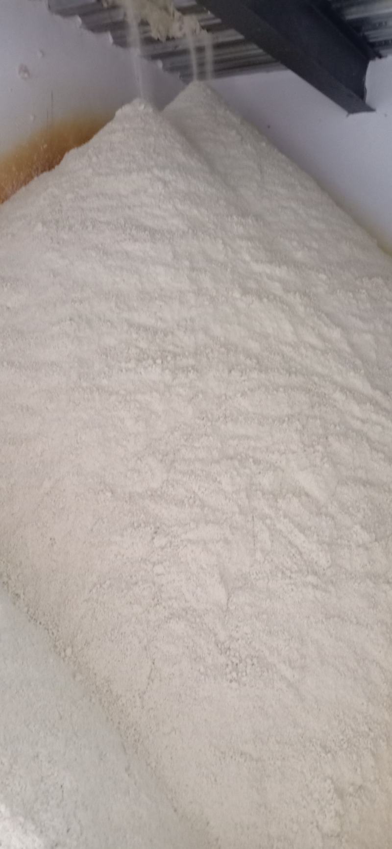 本厂每天大量生产40吨豆腐渣锅巴发酵剂