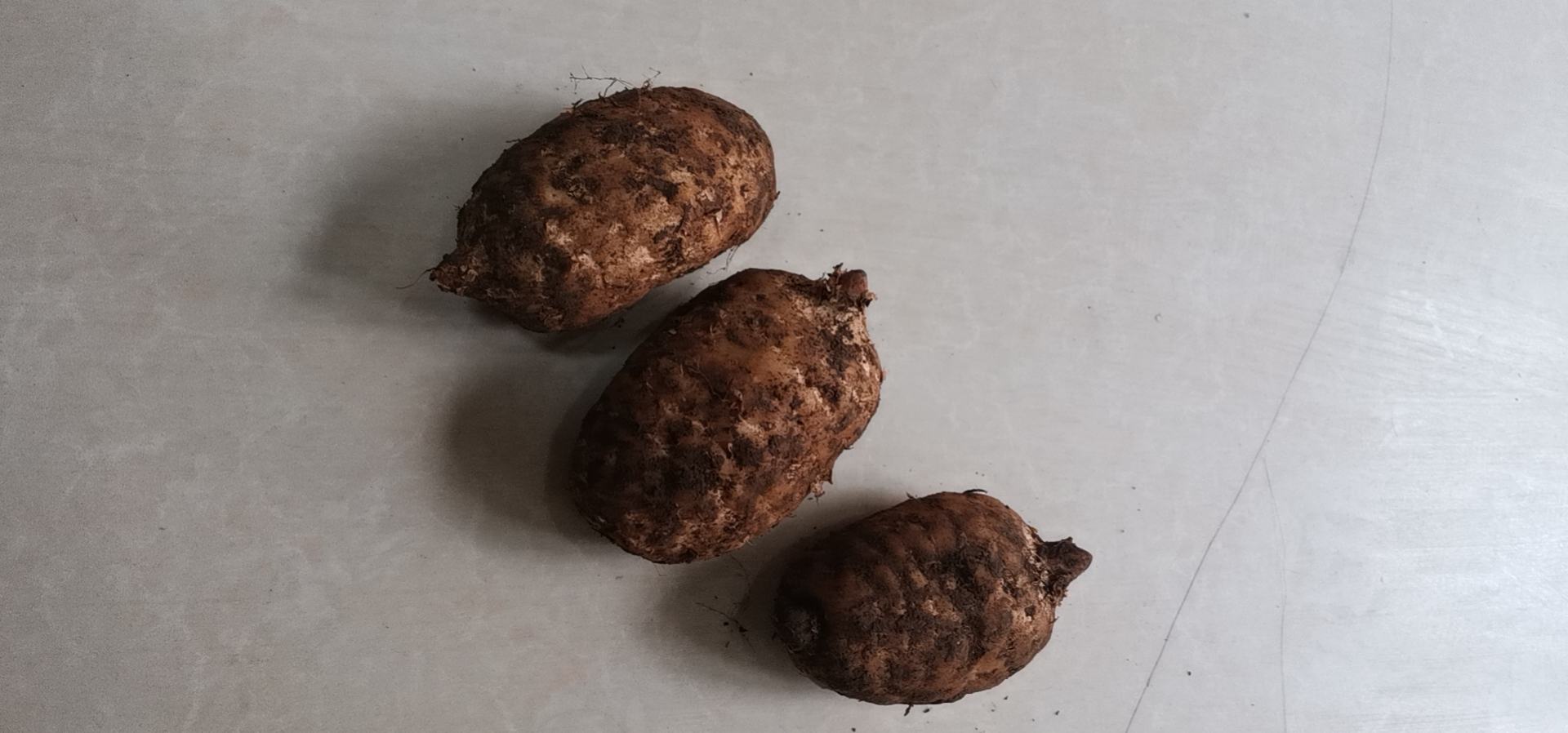 白胡椒与其他草本药材混合外敷示意图