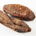 新疆野生肉苁蓉名贵中药材男人泡酒泡茶营养滋补