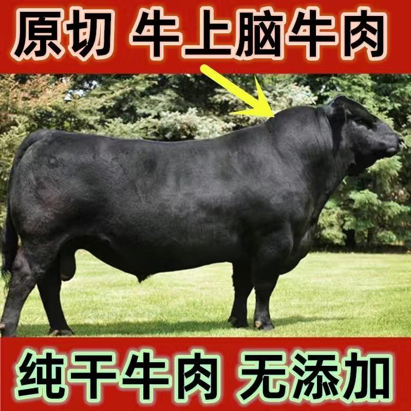 【包邮-10斤牛上脑】热销5斤10斤国产牛上脑上脑牛肉
