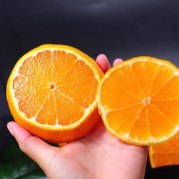 【复购高】四川丑橘.不知火柑橘现摘现发当季水果