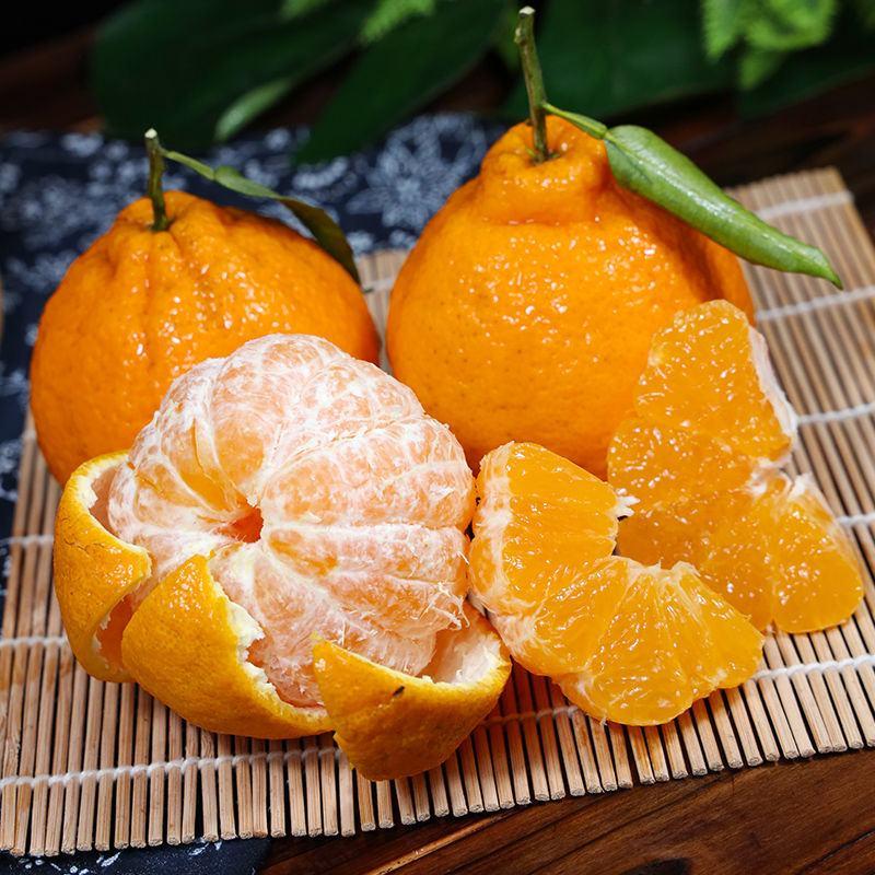 【复购高】四川丑橘.不知火柑橘现摘现发当季水果