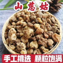 中药材正品新货野生山慈菇精选毛慈菇茅慈菇山慈姑粉，无硫货