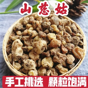 中药材正品新货野生山慈菇精选毛慈菇茅慈菇山慈姑粉，无硫货