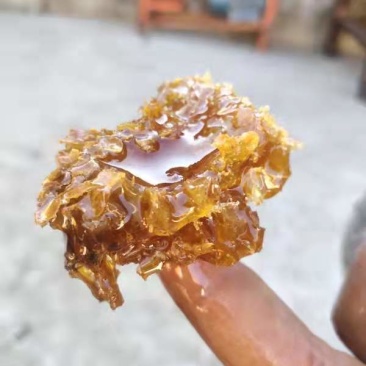 纯正野生土蜂蜜没毛病。