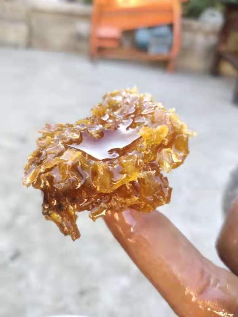纯正野生土蜂蜜没毛病。