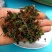回心草茴心草、铁脚一把伞、岩谷伞、大叶藓货好量大