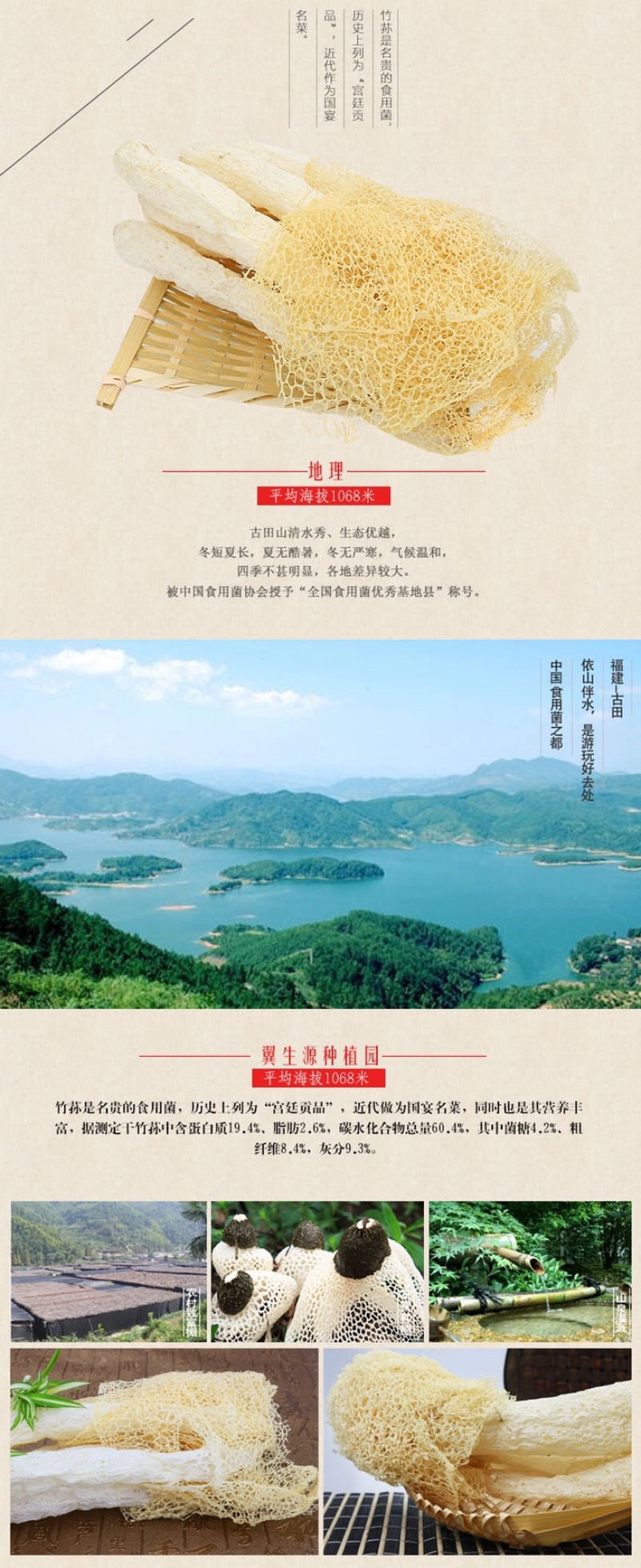 福建竹荪长裙竹荪菌中皇后2020年新货产地价大量批发