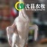 【黑狮头鹅现宰现发】光鹅、鹅肉、白条