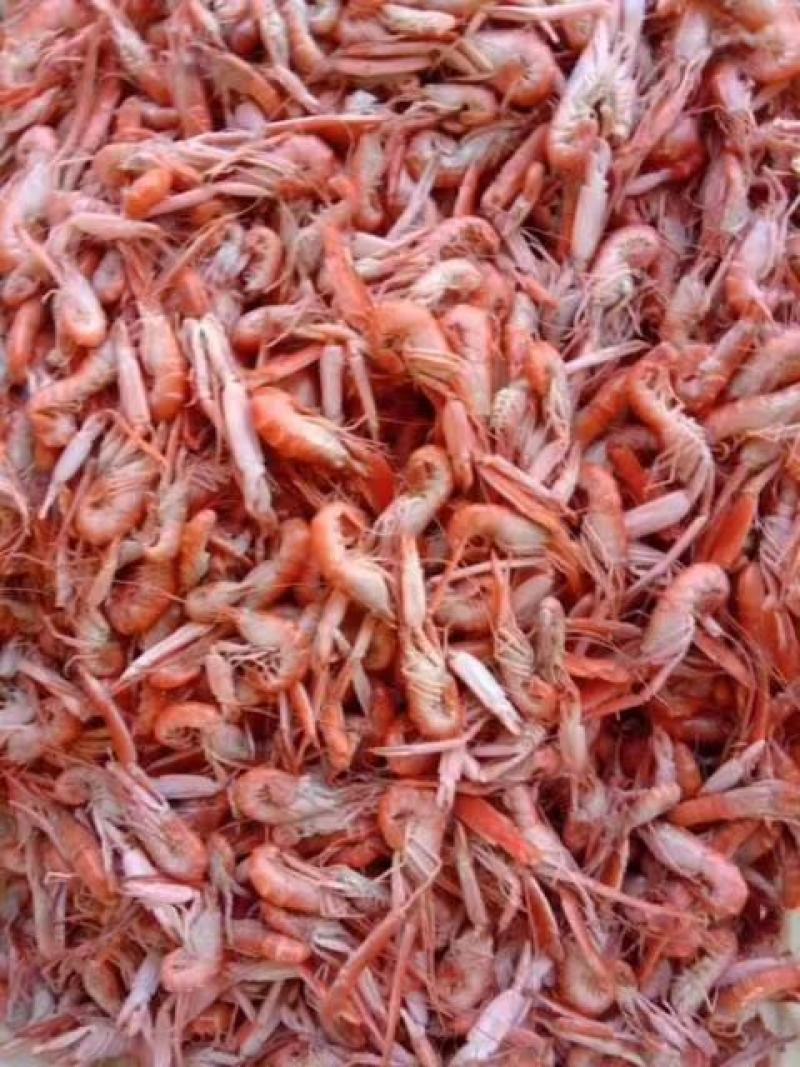 爪虾鳌虾无盐狗虾不咸大量现货支持一件代发