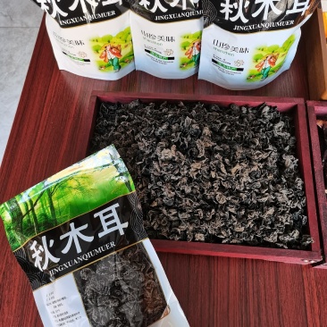 长白山秋木耳，好吃看得见，原产地实体店铺批发零售