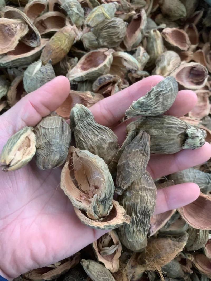 大腹皮【包邮】三斤起发货可批量可零售量大从优