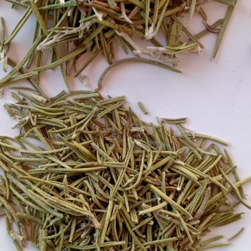 迷迭香各种香料批发供应各种农副产品全国发货