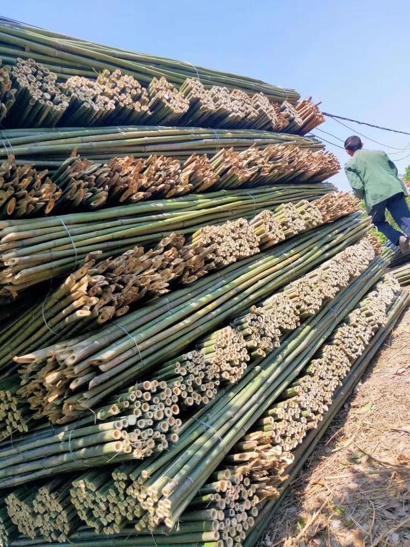 小竹竿菜架竹，豆角架，多种规格，铁竹，高山生产，节短