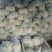 湖北天门蒋湖农场青梗花菜大量上市，精品质量，诚信合作
