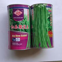 四季豆种子红玉架豆王抗病抗热无筋无纤维荚绿色荚肉厚产量高