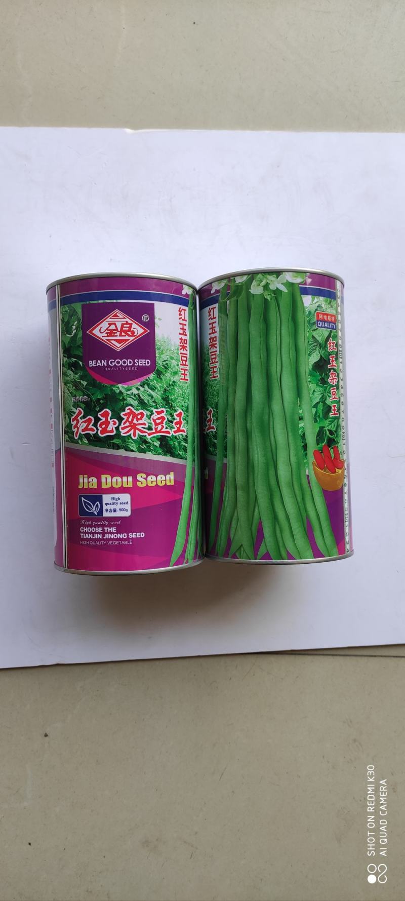 四季豆种子红玉架豆王抗病抗热无筋无纤维荚绿色荚肉厚产量高