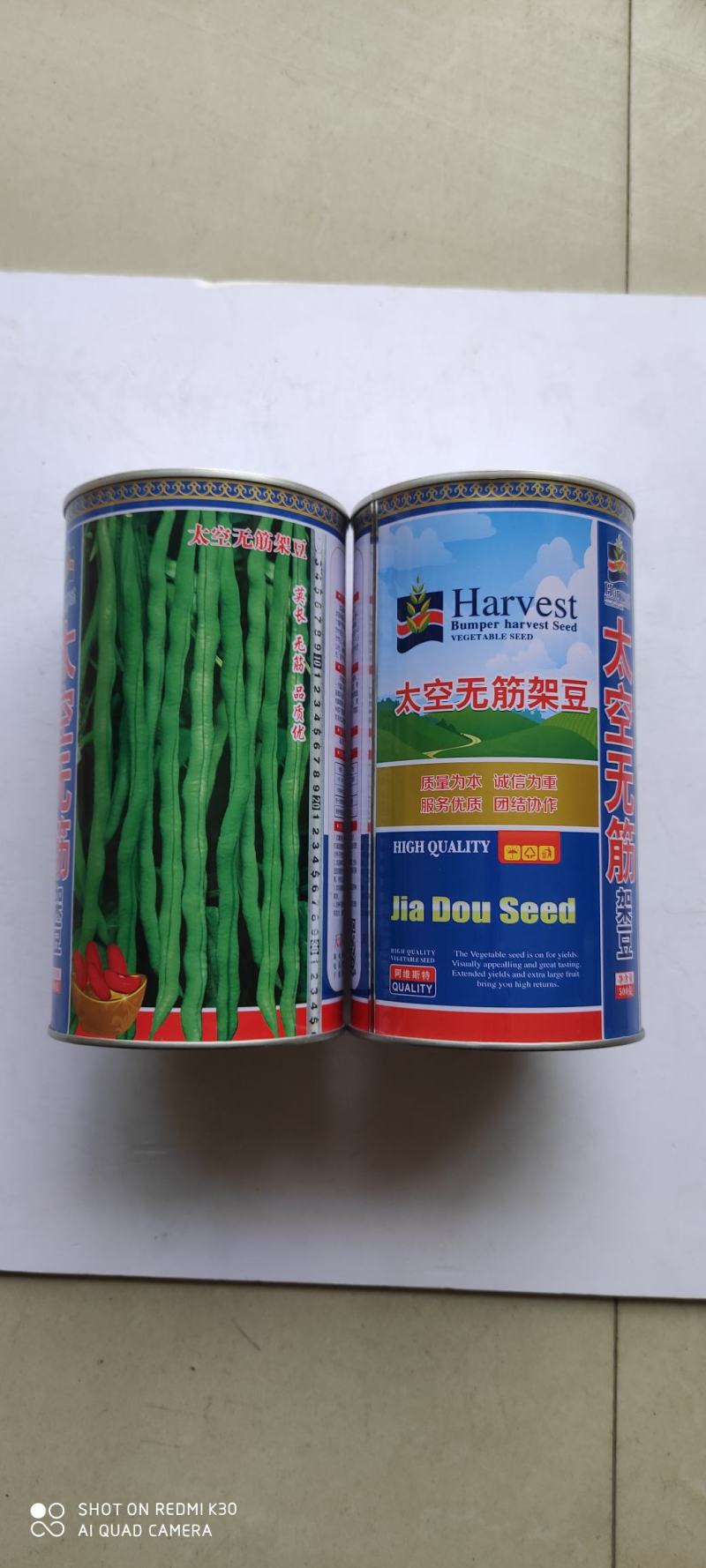 四季豆种子红玉架豆王抗病抗热无筋无纤维荚绿色荚肉厚产量高