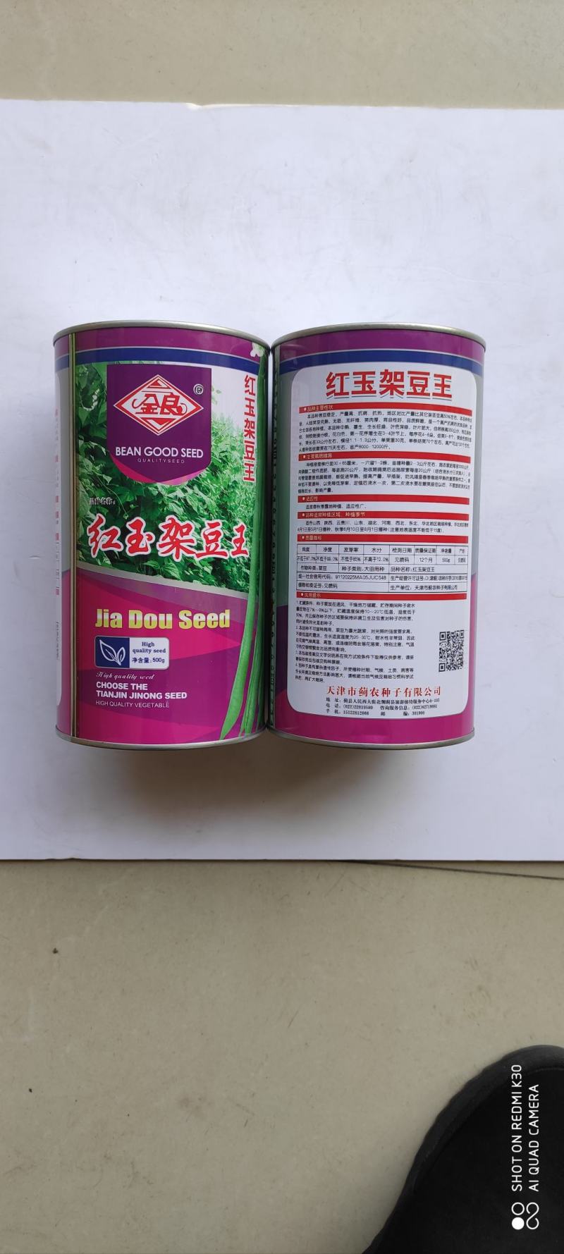 四季豆种子红玉架豆王抗病抗热无筋无纤维荚绿色荚肉厚产量高