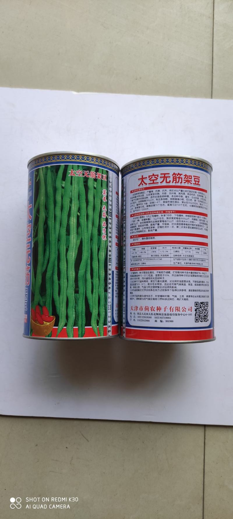 四季豆种子红玉架豆王抗病抗热无筋无纤维荚绿色荚肉厚产量高
