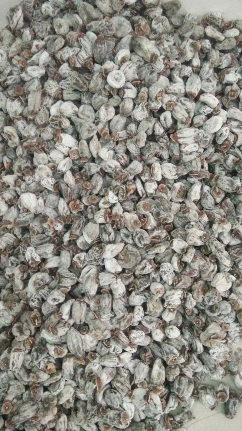 秦岭特产原生态柿饼，价廉物美