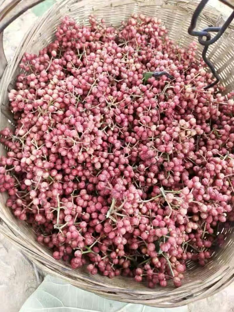 大红袍花椒山东花椒种植基地特供优质花椒货发全国