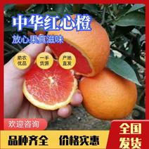 中华红脐橙血橙大量上市口感纯甜量大从优可视频看货发货