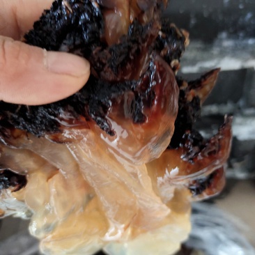 海蜇头沙蜇头！爽脆可口！凉拌下酒菜大量现货一手货源