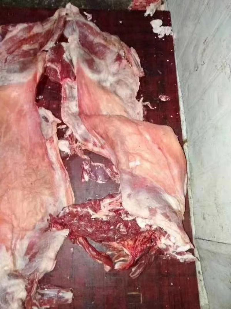 剔骨羊肉，山羊绵羊都有，纯干无水分，全国配