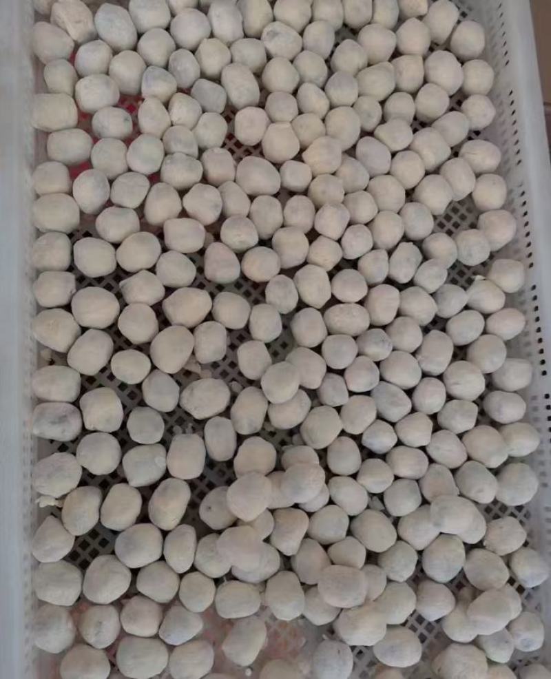 奶酪枣十巴达木十杏仁