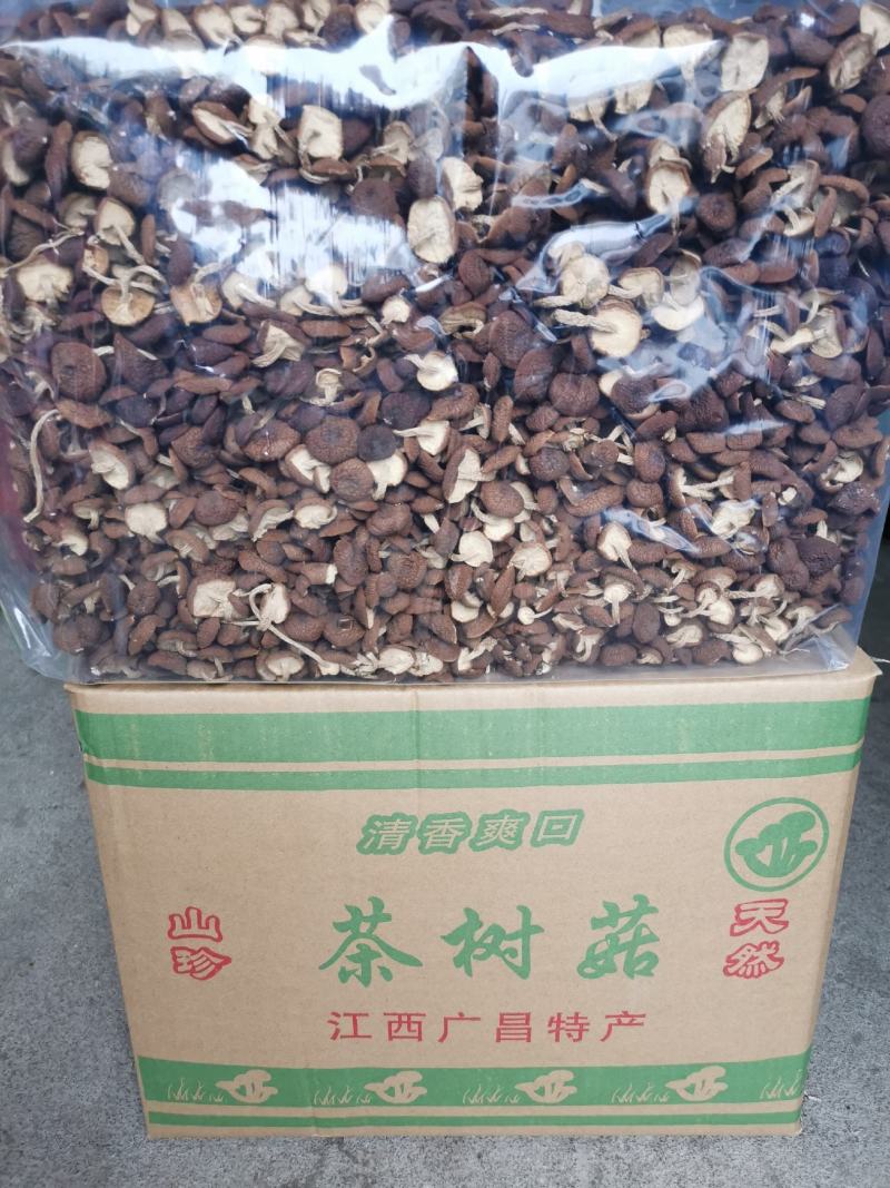 江西广昌5号茶树菇23新菇不夹心全国发货10斤起批包邮