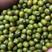 东北大粒绿豆，产地直销，一手货源，今年新货，量大从优！
