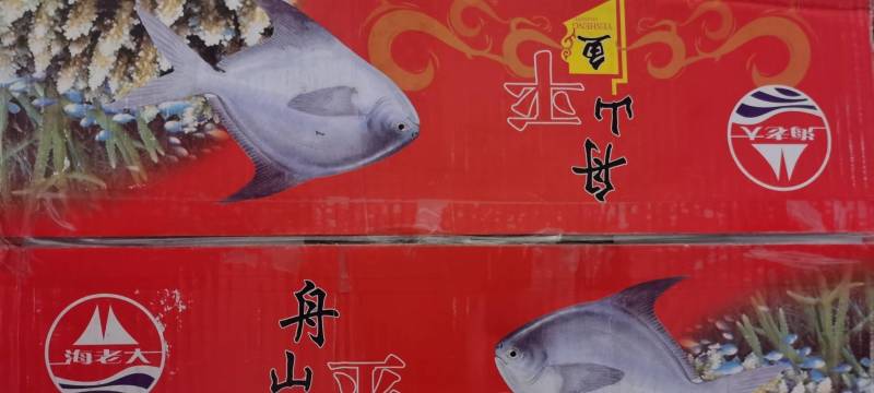 舟山平鱼，净重4斤，一手货源，质量杠杠得。
