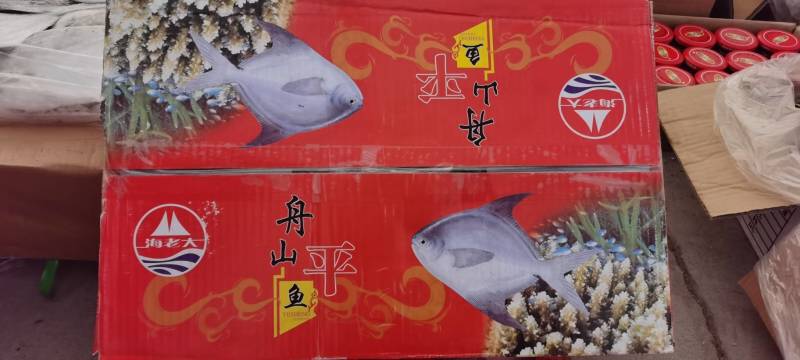 舟山平鱼，净重4斤，一手货源，质量杠杠得。