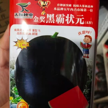 西瓜种子黑_霸（无籽）纯黑皮蜡粉厚果型大抗病抗湿